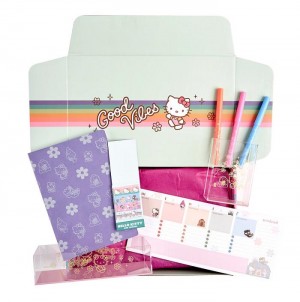 Hello Kitty Hello Kitty x Erin Condren Special Edition Gift Box Colorati | RO_HK76889